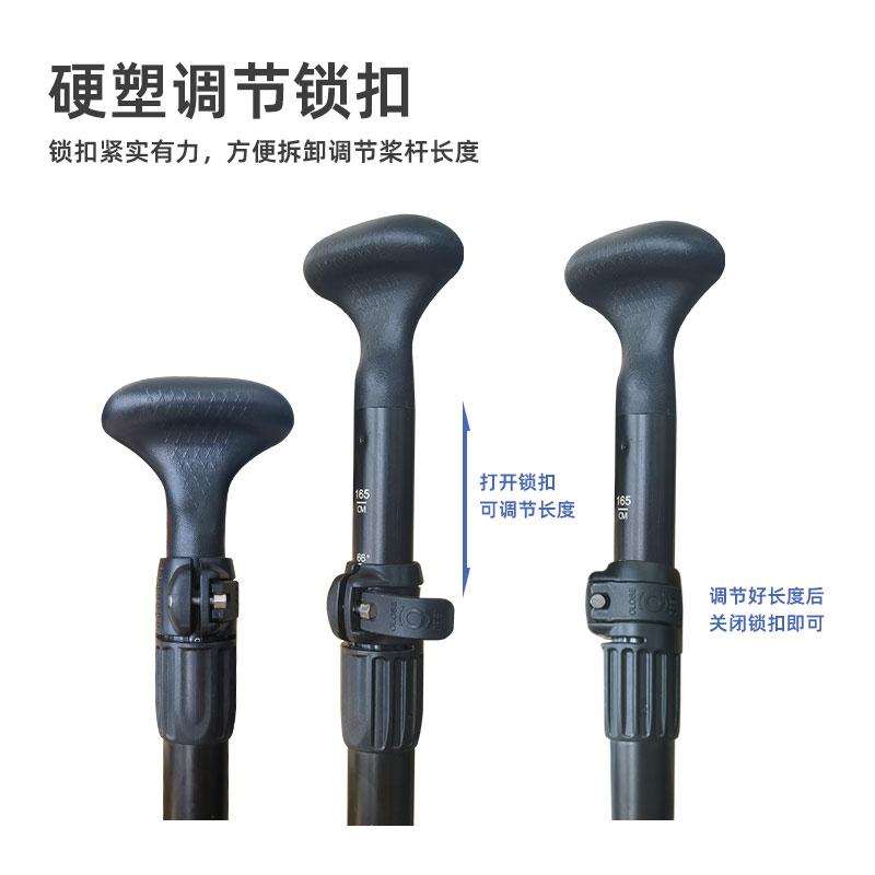 桨、鳍(图5)