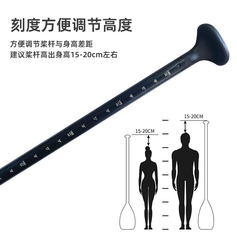 桨、鳍(图6)